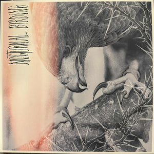 Author & Punisher - Nocturnal Birding, vinyl LP, orange krush and blue merge, RR7594, new