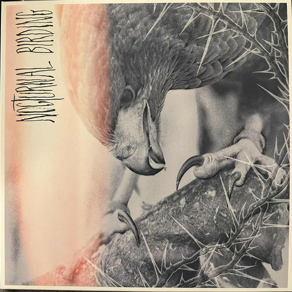 Author & Punisher - Nocturnal Birding, vinyl LP, orange krush and blue merge, RR7594, new